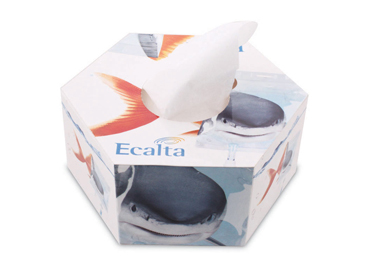 Hexagonal Tissue Boxes