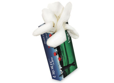 Pocket Glove Box 
