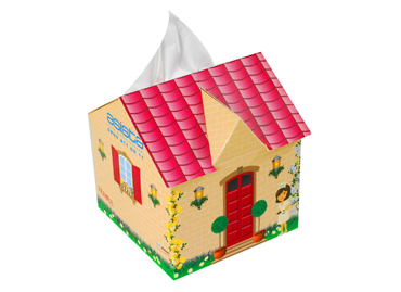 House Tissue Box